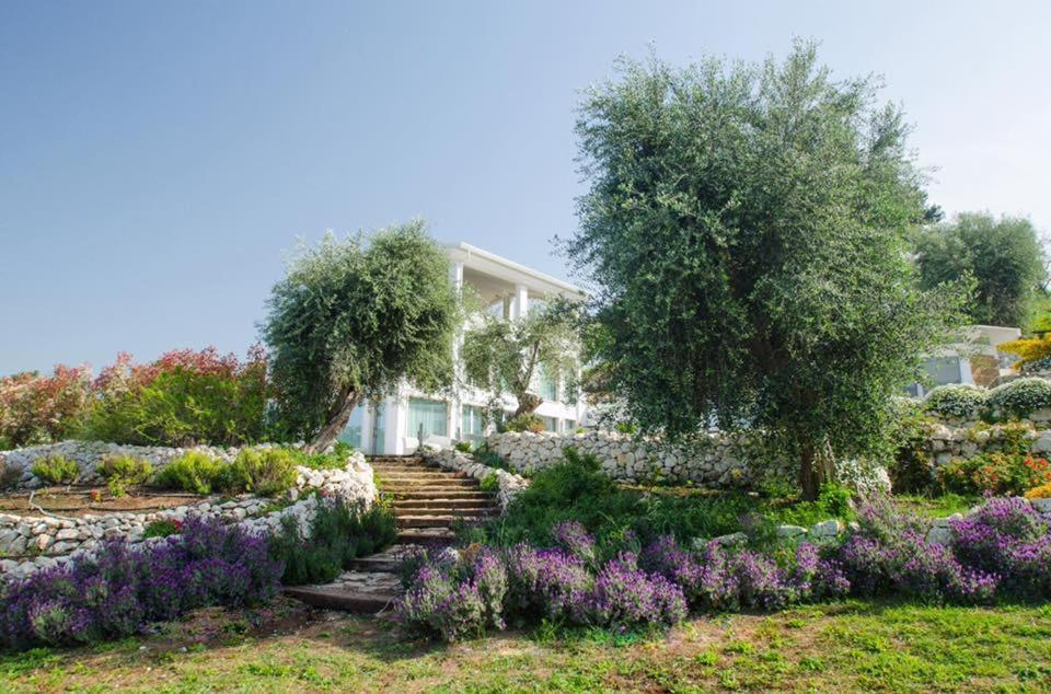 Max Luxury Suite - Servizio Spiaggia Inclusa Peschici Exterior foto